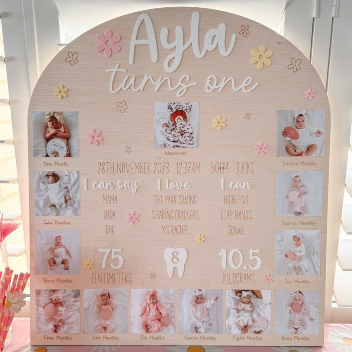 Birthday First Year Milestone & Photo Board - Daisy - Lou James Creations