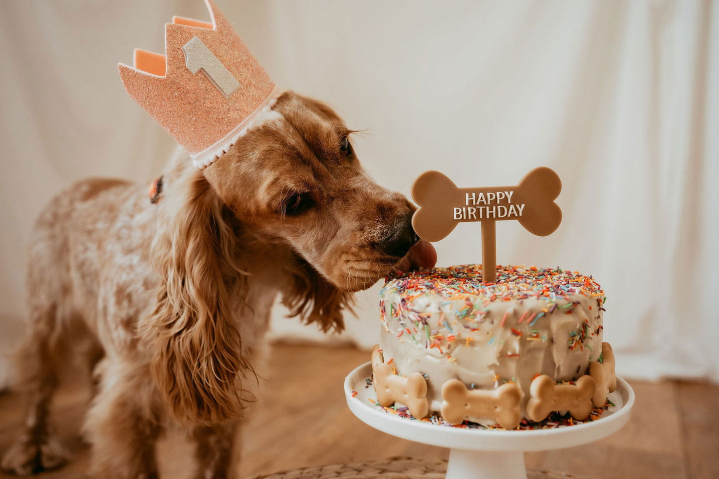 Cake Topper - Dog Bone - Lou James Creations