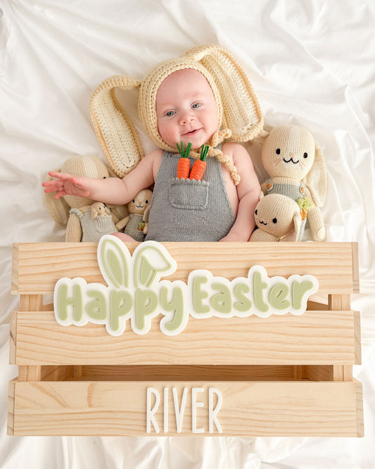 Easter Bunny Ear Crate - Interchangeable for Christmas and Birthday - Lou James Creations