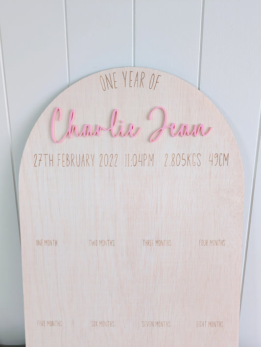 Birthday 12 Month Photo Board - Classic Theme - Lou James Creations