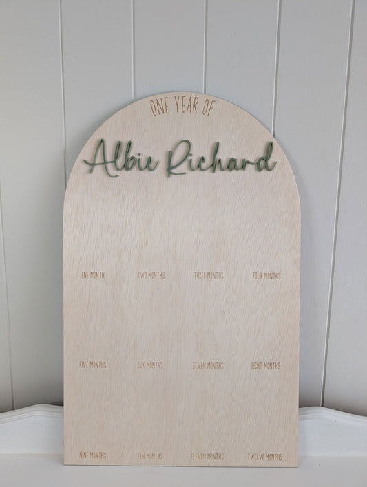 Birthday 12 Month Photo Board - Classic Theme - Lou James Creations