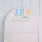 Birthday 12 Month Photo Board - Sun and Clouds Theme - Lou James Creations
