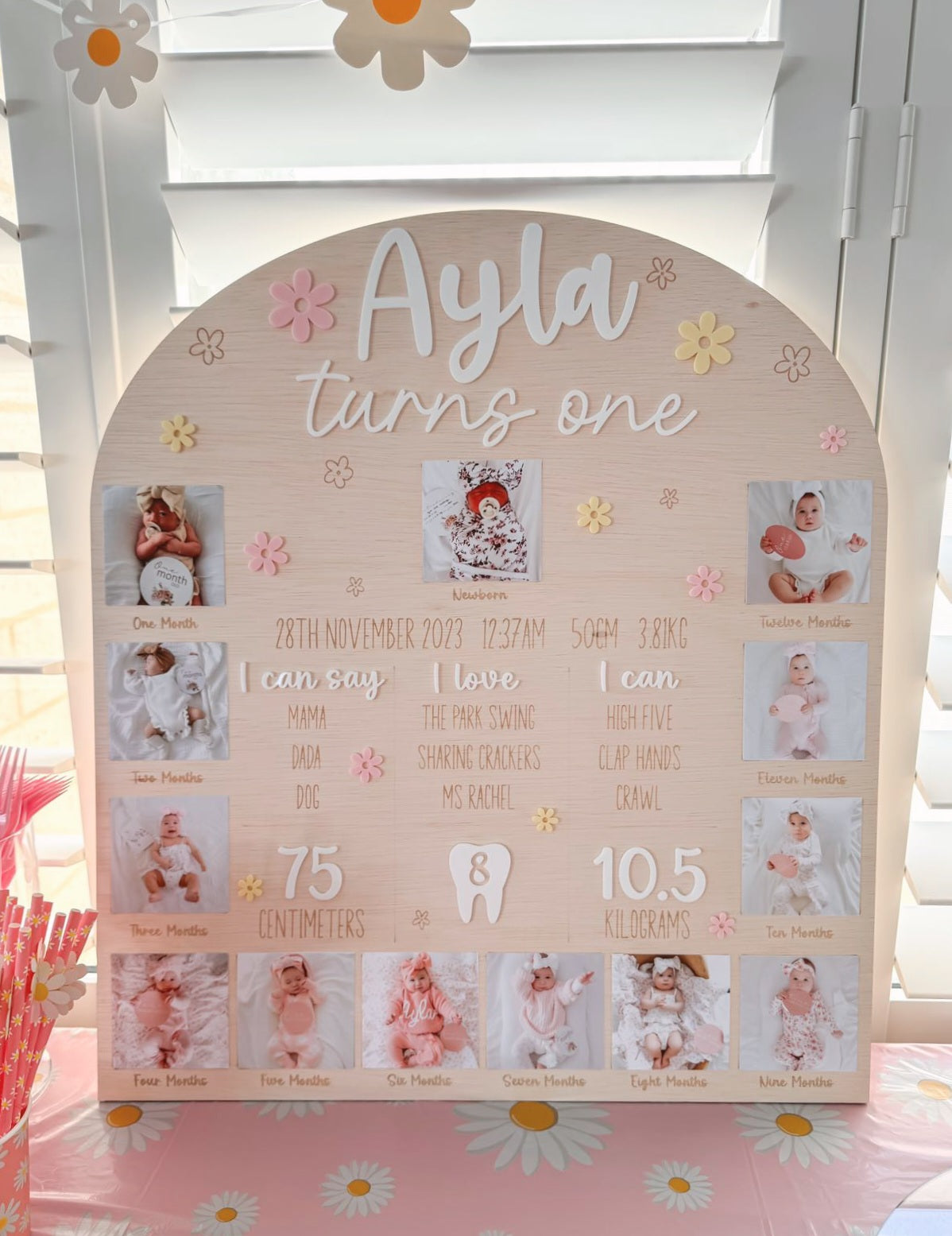 Birthday First Year Milestone & Photo Board