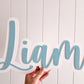 Name Plaque - Acrylic backing - Lou James Creations