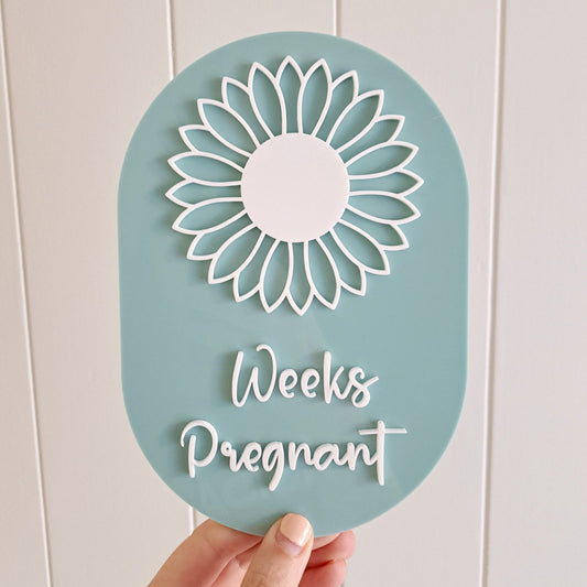 Pregnancy Milestone Plaque - Lou James Creations