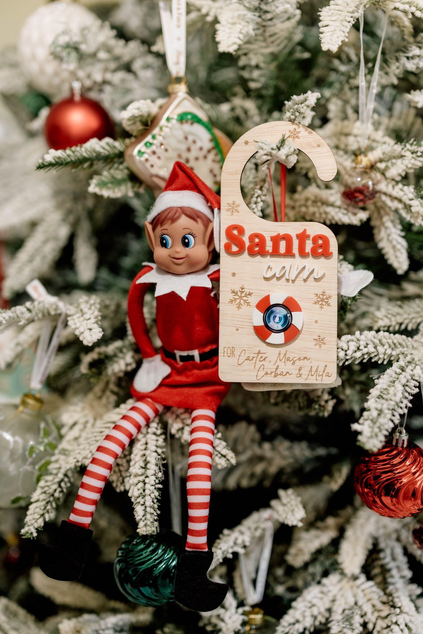 Santa Cam Door Hanger - Lou James Creations 