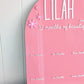 Birthday 12 Month Photo Board - Acrylic Daisy Theme