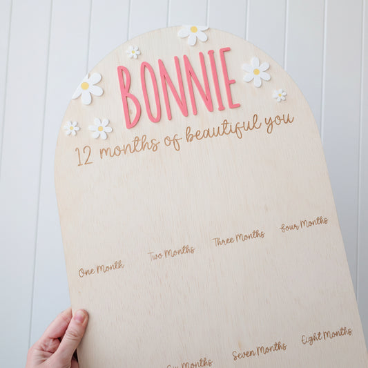 Birthday 12 Month Photo Board - Daisy Theme