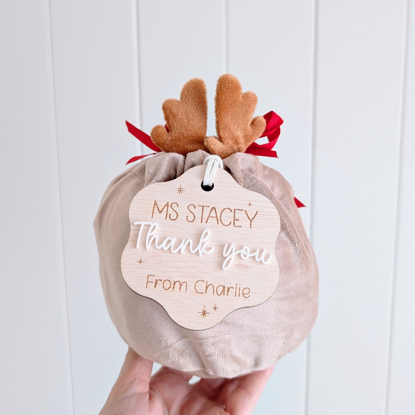 Mini Reindeer Velvet Sack